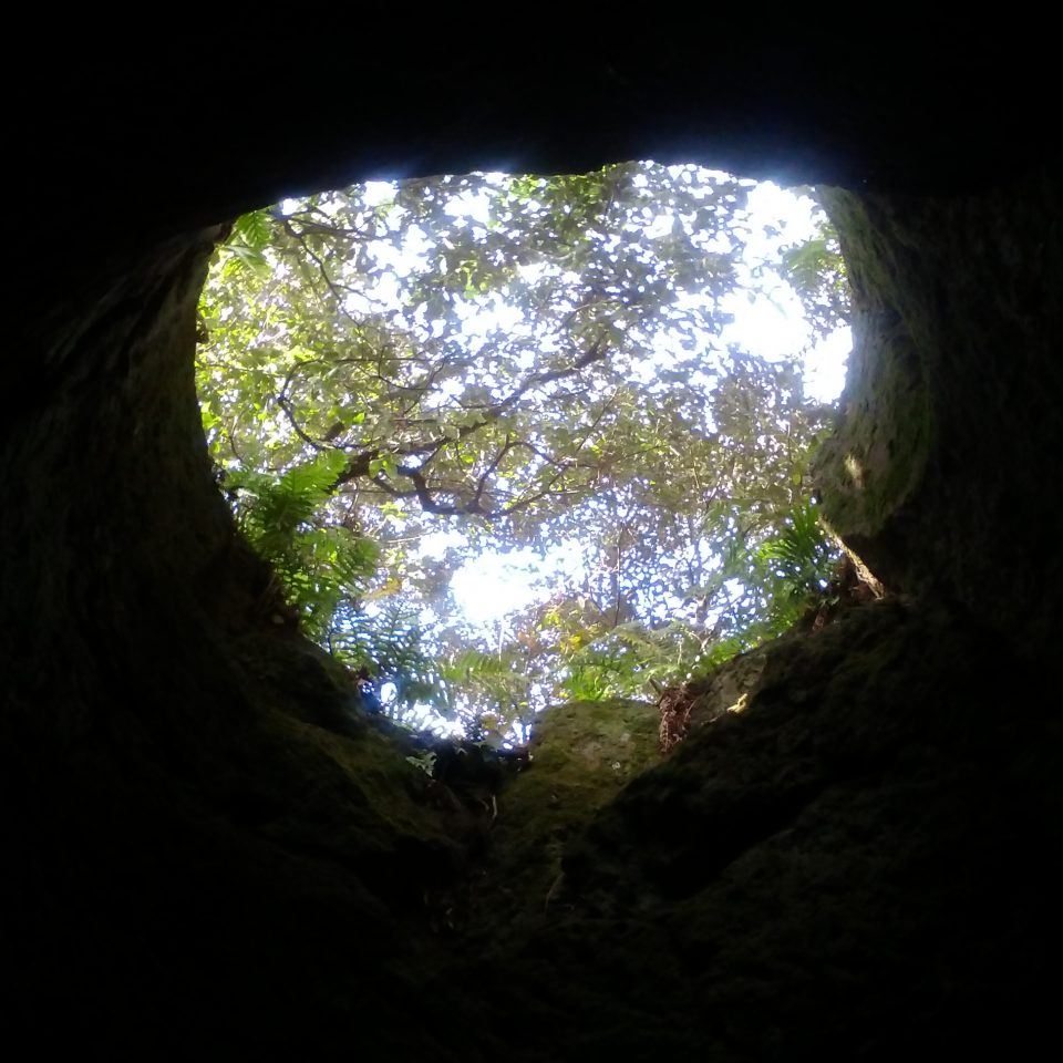 single-image