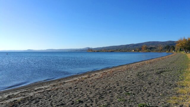 291790798_10158705781247039_977428092763118364_n